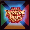 Phoenix Rises