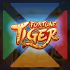 Fortune Tiger