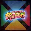 Fortune Rabbit