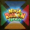 Ninja Racoon Frenzy