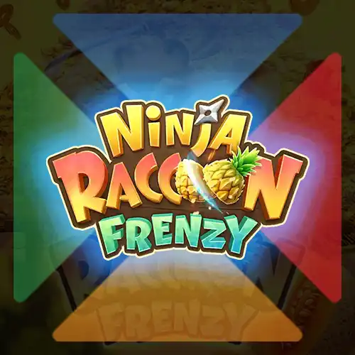 Ninja Racoon Frenzy